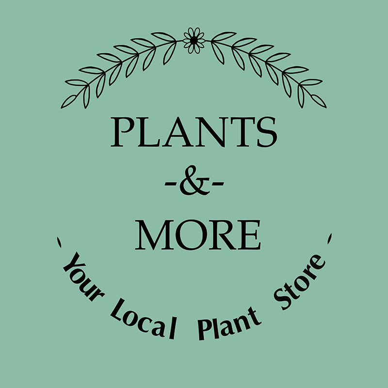 plants-and-more